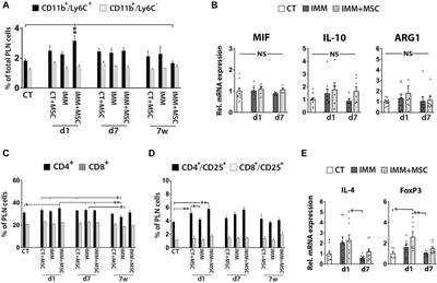 Umbilical cord mesenchymal stromal cells transplantation delays the onset of hyperglycemia in the RIP-B7.1 mouse model of experimental autoimmune diabetes through multiple immunosuppressive and anti-inflammatory responses